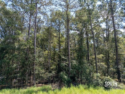 8.51-Lamar_WPA_Rd-101