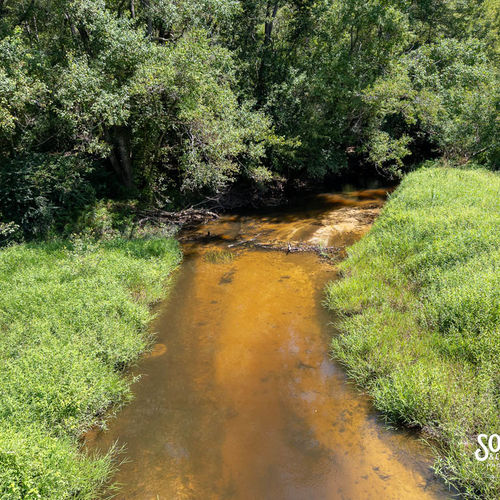 A Creekside Escape in Lamar County: 8.51 Acres on WPA Road