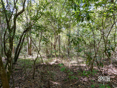 8.51-Lamar_WPA_Rd-109