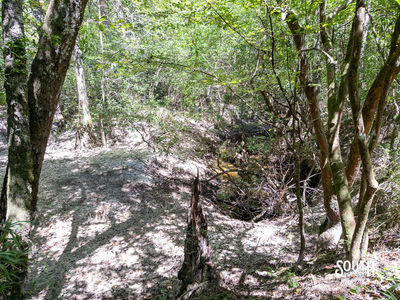 8.51-Lamar_WPA_Rd-110