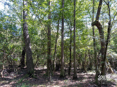 8.51-Lamar_WPA_Rd-112