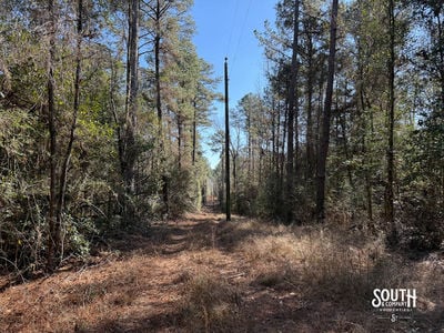 38_Greene_IndianHillRd-21