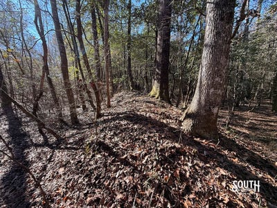 38_Greene_IndianHillRd-7