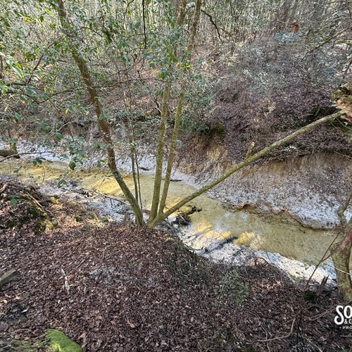 38± Acres for Sale on Indian Hill Road in Greene County, Mississippi