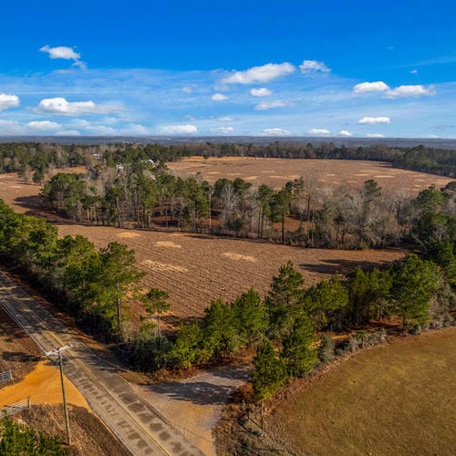 35 Acres for Sale on Tatum Salt Dome Rd | Lamar County MS