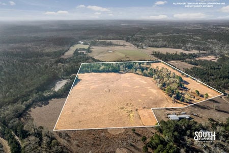 Tatum_Salt_Dome_Rd_100