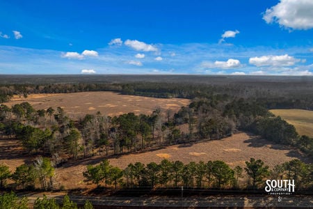 Tatum_Salt_Dome_Rd_2