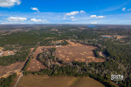 Tatum_Salt_Dome_Rd_400