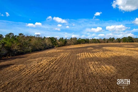 Tatum_Salt_Dome_Rd_6