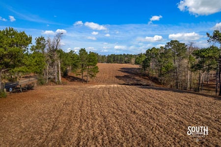 Tatum_Salt_Dome_Rd_702