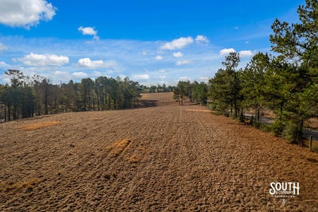 Tatum_Salt_Dome_Rd_703