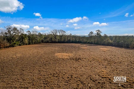 Tatum_Salt_Dome_Rd_705