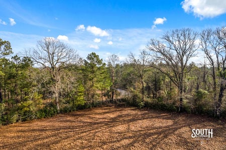 Tatum_Salt_Dome_Rd_706