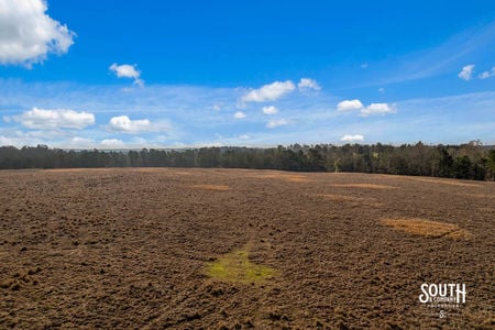 Tatum_Salt_Dome_Rd_707