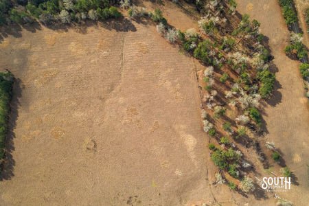 Tatum_Salt_Dome_Rd_708