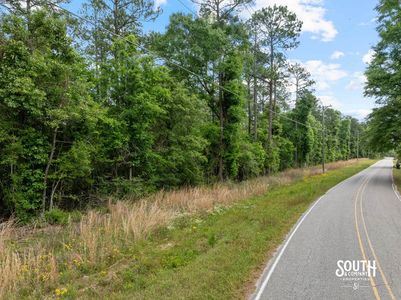 wooded frontage along JM Burge Road at 23.25 acre tract in West Hattiesburg MS