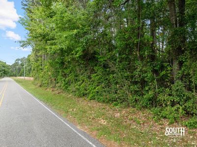 wooded frontage along JM Burge Road at 23.25 acre tract in West Hattiesburg MS