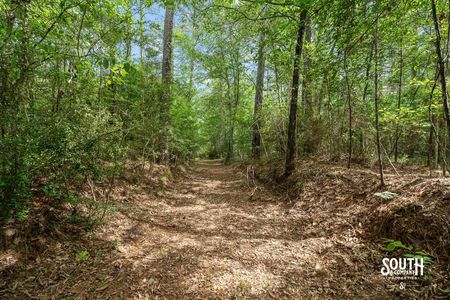 interior road on 23.25 acres on JM Burge Rd. in West Hattiesburg