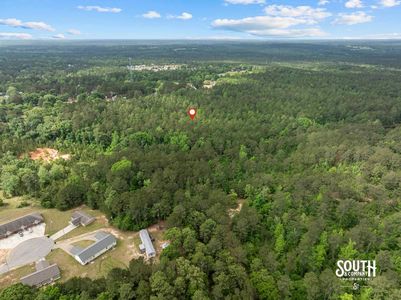 aerial view of 23.25 acres of mixed pine and hardwood timber in West Hattiesburg MS