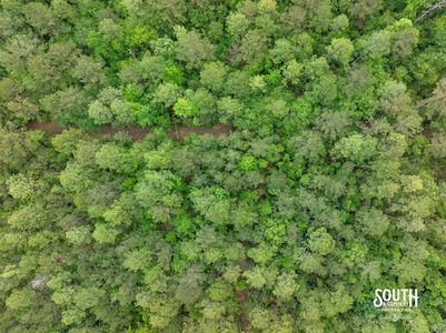 aerial view of internal road and timber on 23.25 acres in West Hattiesburg MS
