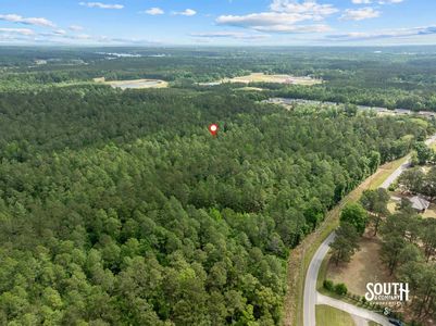 aerial view of 23.25 acres of mixed pine and hardwood timber in West Hattiesburg MS