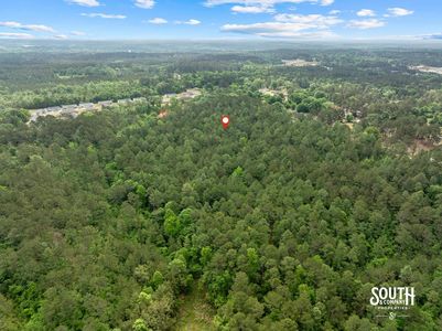 aerial view of 23.25 acres of mixed pine and hardwood timber in West Hattiesburg MS
