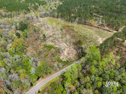 Wooded acreage providing privacy on land for sale in Sumrall MS