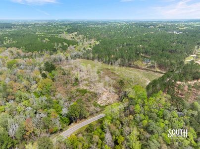 Wooded creek area creating natural privacy buffer on land in Sumrall MS