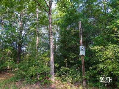 10-acres-Perry-County-Thompson-Creek-10-meter-base