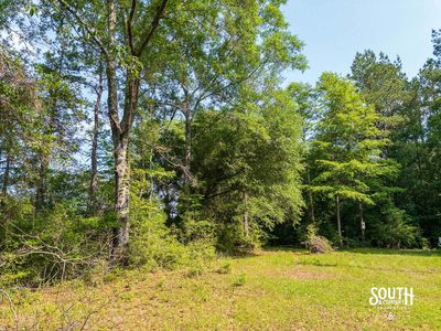 10-acres-Perry-County-Thompson-Creek-12-campsite