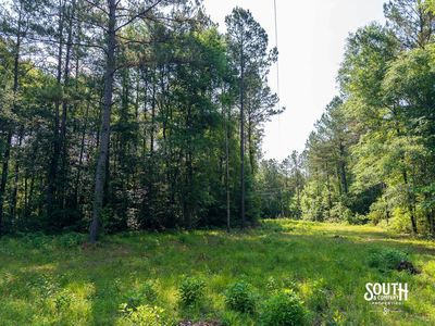 10-acres-Perry-County-Thompson-Creek-13-campsite