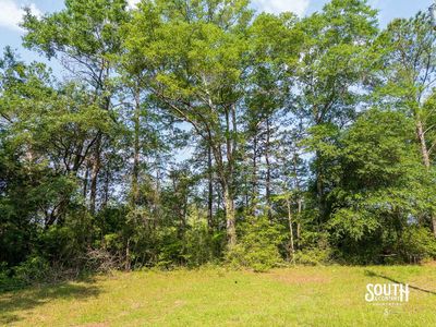 10-acres-Perry-County-Thompson-Creek-14-campsite
