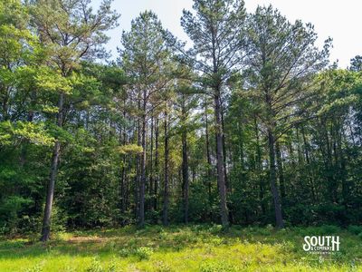10-acres-Perry-County-Thompson-Creek-15-campsite