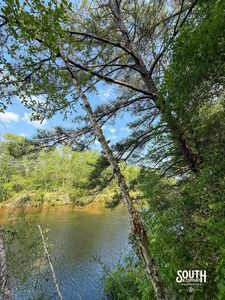 10-acres-Perry-County-Thompson-Creek-16