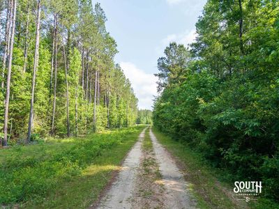 10-acres-Perry-County-Thompson-Creek-4-access-road