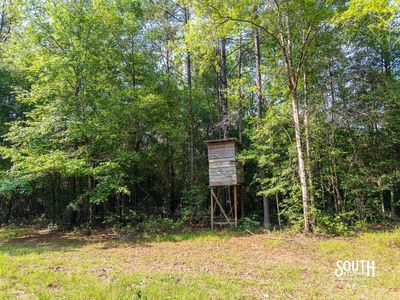 10-acres-Perry-County-Thompson-Creek-7-deerstand