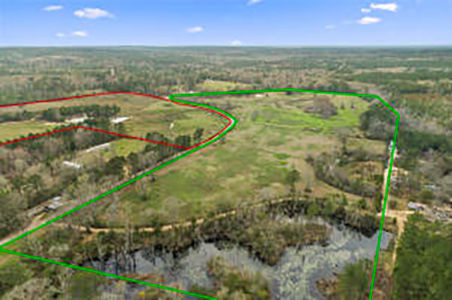 Image-3