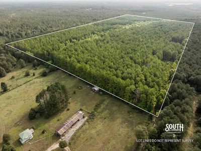 Aerial view of 80 acre timber property in southern Lamar County MS