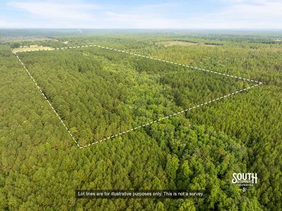Aerial view of 80 acre timber property in southern Lamar County MS