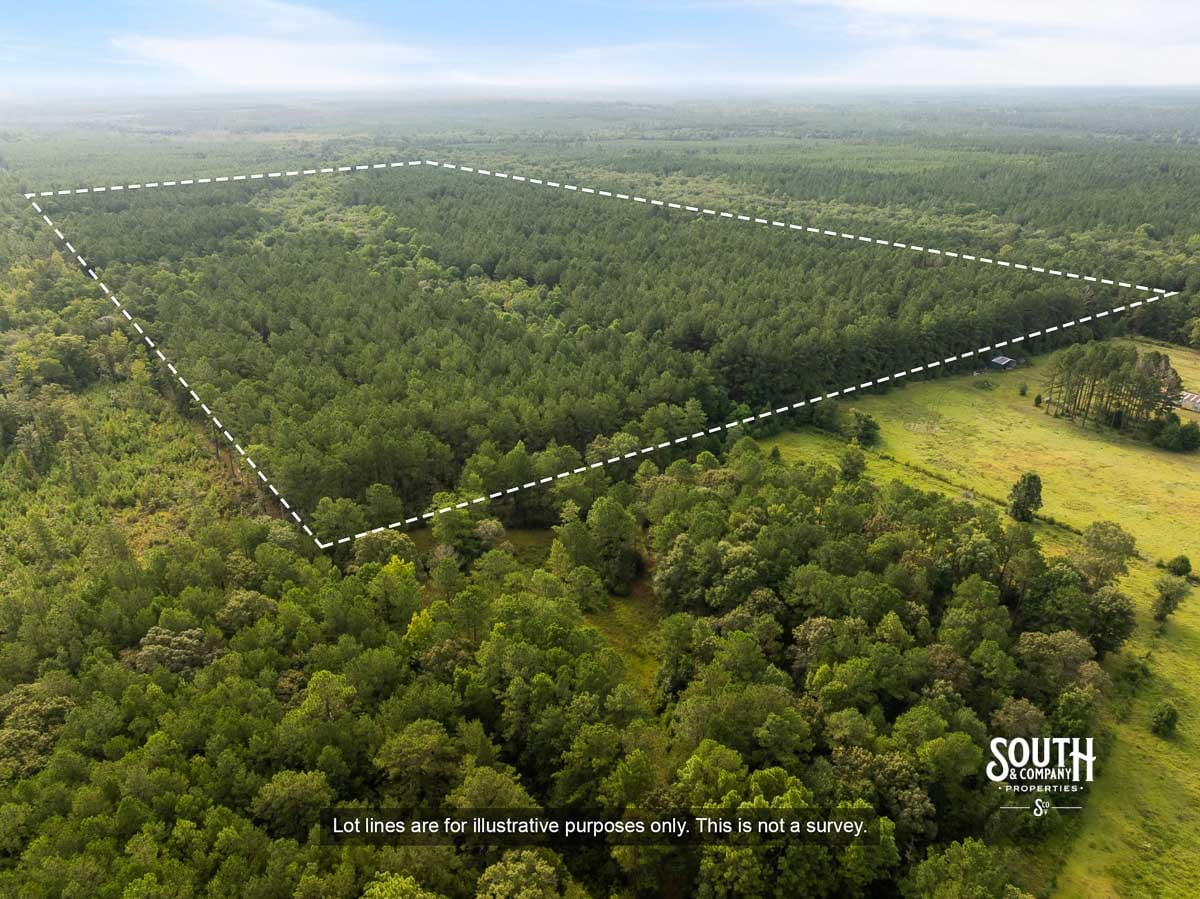 Aerial view of 80 acre timber property in southern Lamar County MS