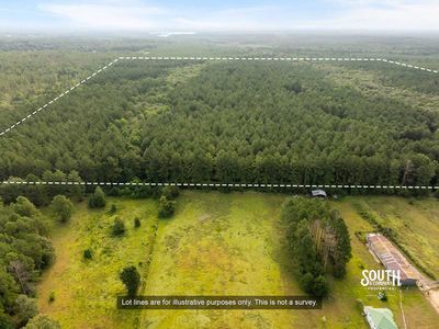 Aerial view of 80 acre timber property in southern Lamar County MS