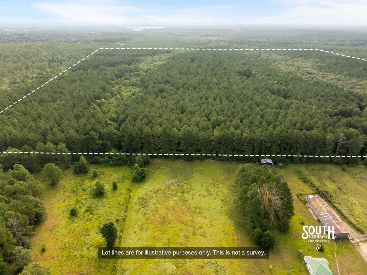 Aerial view of 80 acre timber property in southern Lamar County MS