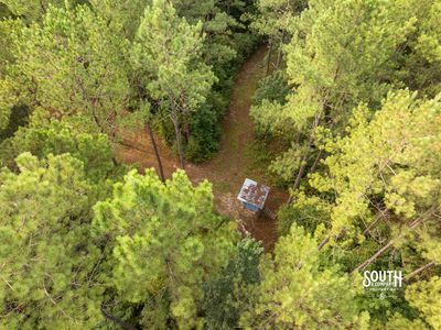 Established wildlife food plot on Lamar County hunting property