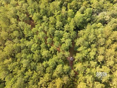 Aerial view of 80 acre timber property in southern Lamar County MS