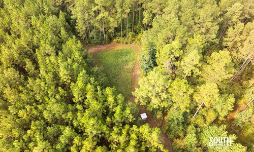 80± Acres of Timberland for Sale in Lamar County, Mississippi