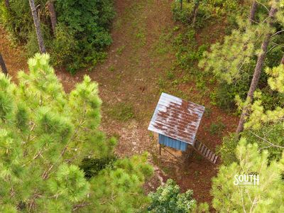 Established wildlife food plot on Lamar County hunting property