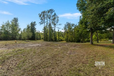 Cleared former homesite area with scattered trees and adjoining woods.