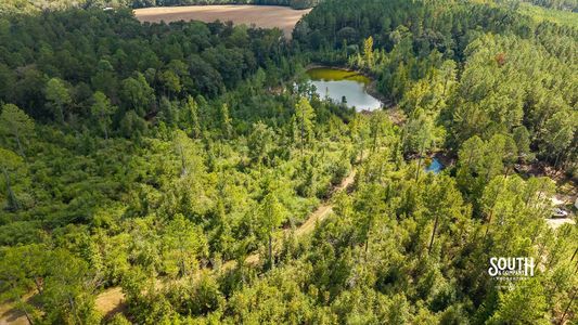 aerial showing an interior trail and the main pond beyond the wooded cover.