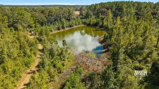 Closer aerial view of the main pond and the trail along one side.