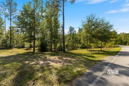 Ground view of mowed roadside ground, scattered trees and N. Mill Creek Road.